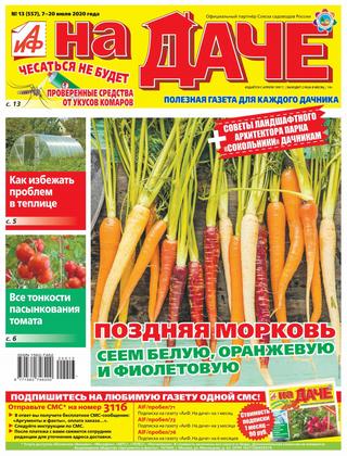 На даче №13, июль 2020