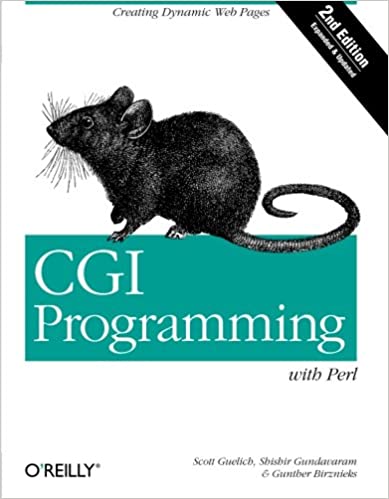 CGI Programming