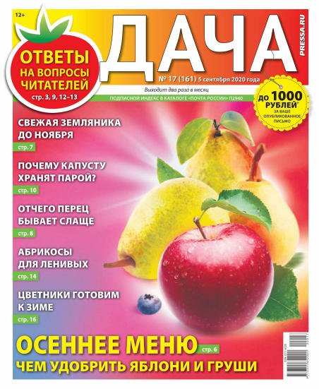 Дача №17, сентябрь 2020