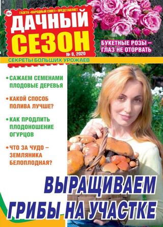 Дачный сезон №8, август 2020