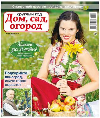 Круглый год: Дом сад огород №16, август 2020