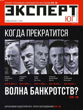 Эксперт. Юг №11. ноябрь 2019