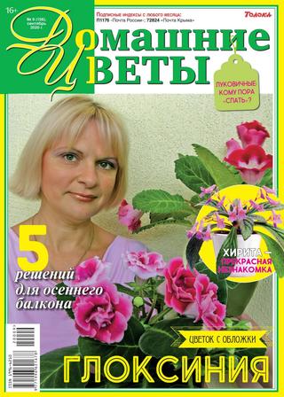 Домашние цветы №9, сентябрь 2020