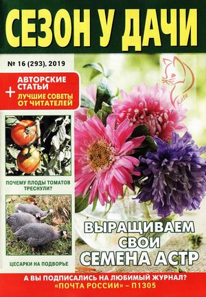 Сезон у дачи №16, август 2019