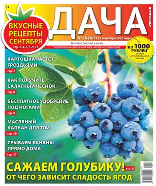 Дача №18, сентябрь 2020