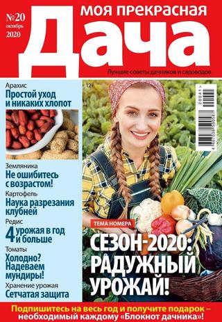 Моя прекрасная дача №20, октябрь 2020