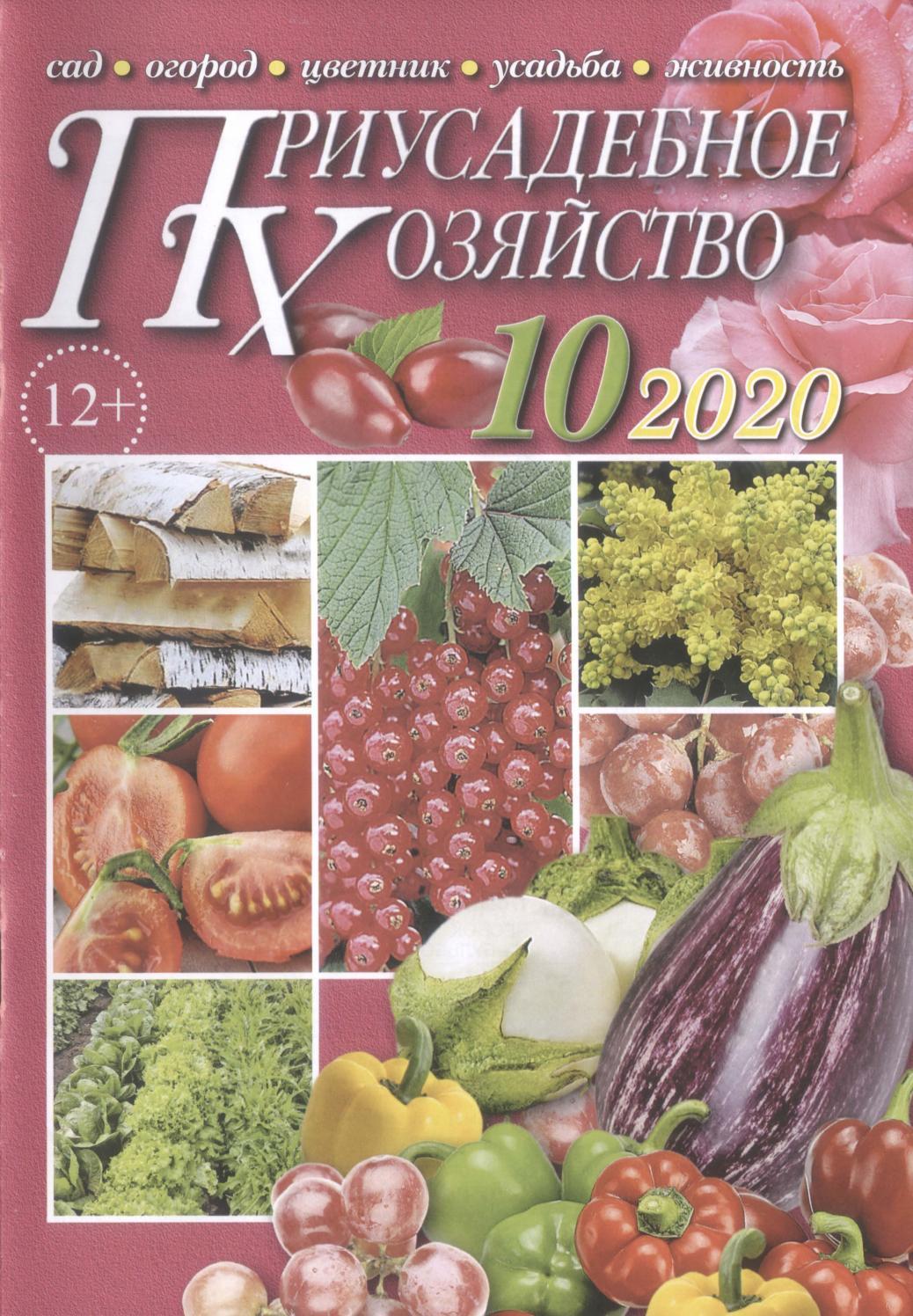 Приусадебное хозяйство №10, октябрь 2020
