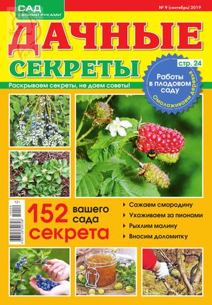Дачные секреты №9, сентябрь 2019