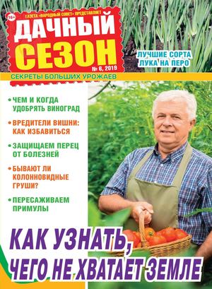 Дачный сезон №6, июнь 2019
