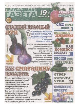 Приусадебная газета №19, октябрь 2020