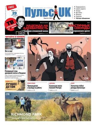 Пульс UK, №29, октябрь 2020