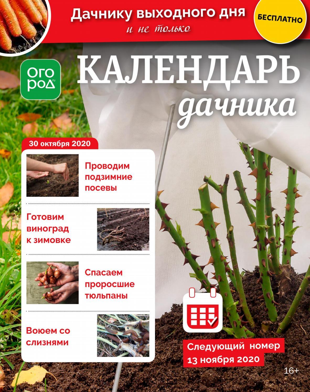 Календарь дачника №21, ноябрь 2020