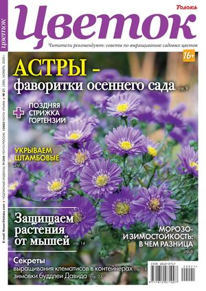 Цветок №21, ноябрь 2020