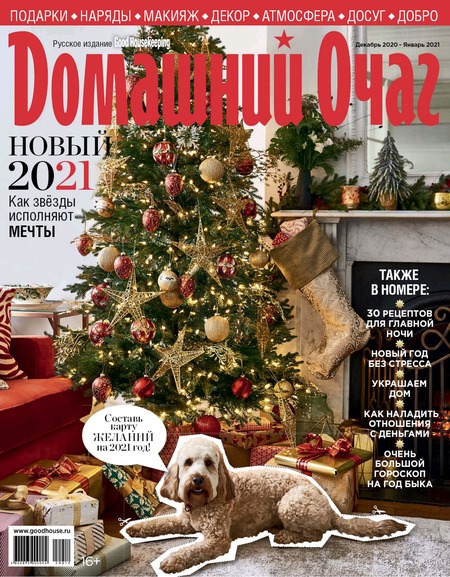 Домашний очаг №12-1, декабрь 2020 - январь 2021