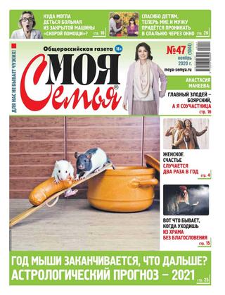 Моя семья №47, ноябрь 2020