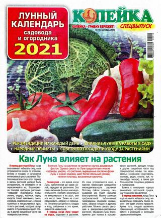 Копейка. Спецвыпуск №10, октябрь 2020