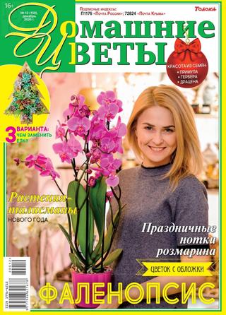 Домашние цветы №12, декабрь 2020