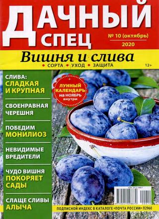 Дачный спец №10, октябрь 2020