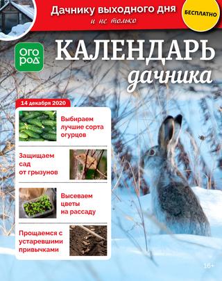Огород Ру. Календарь дачника №24, декабрь 2020