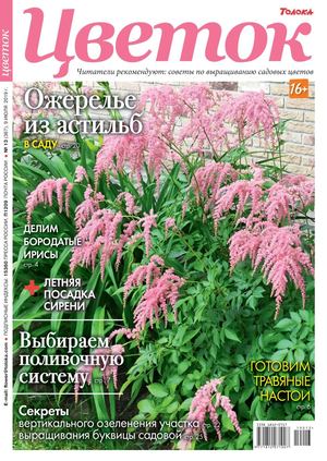 Цветок №13, июль 2019