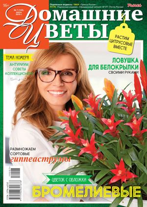 Домашние цветы №7, июль 2019