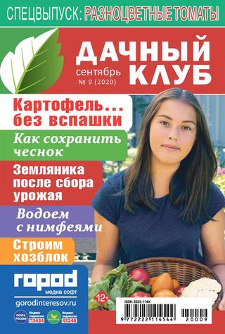 Дачный клуб №9, сентябрь 2020