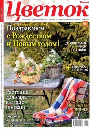 Цветок №24, декабрь 2020