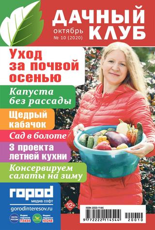 Дачный клуб №10, октябрь 2020