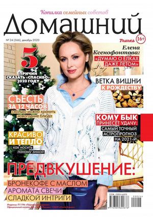 Домашний №24, декабрь 2020