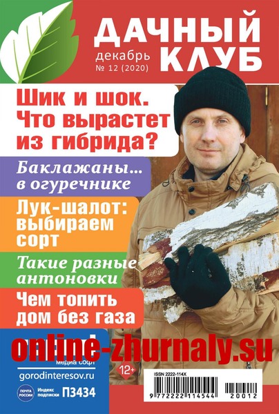 Дачный клуб №12, декабрь 2020