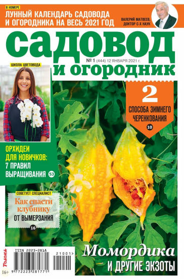 Садовод и огородник №1, январь 2021