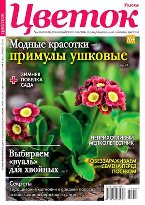 Цветок №2, январь 2021