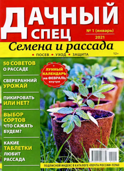 Дачный спец №1, январь 2021