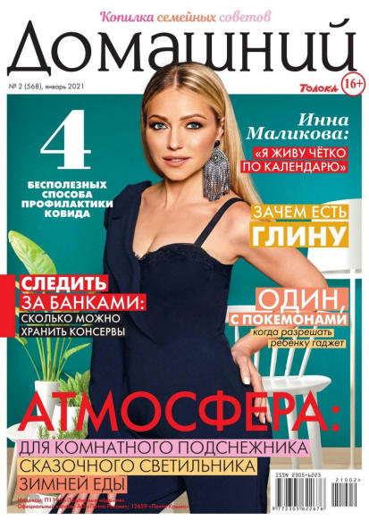 Домашний №2, январь 2021