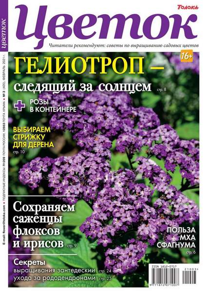 Цветок №3, февраль 2021