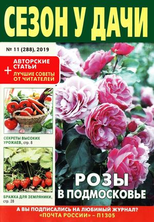 Сезон у дачи №11, июнь 2019