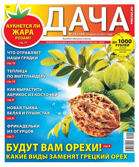 Дача №16, август 2021