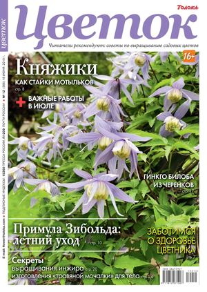 Цветок №12, июнь 2019