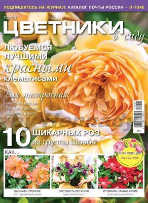 Цветники в саду №7, июль 2019