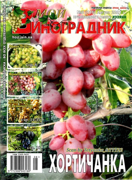Мой виноградник №8, август 2021