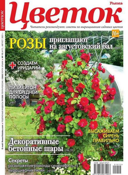 Цветок №15, август 2021