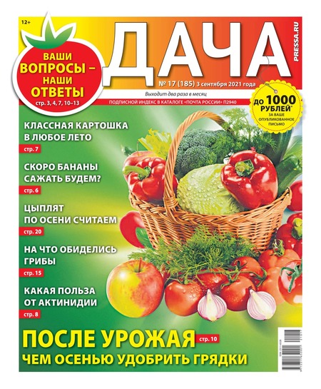 Дача №17, сентябрь 2021