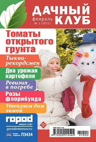 Дачный клуб №2, февраль 2021