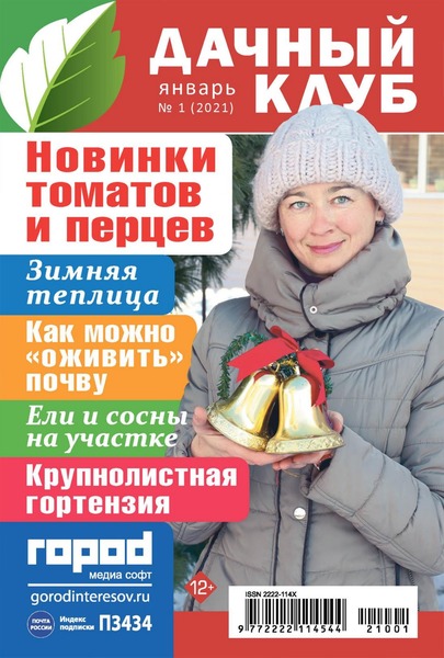 Дачный клуб №1, январь 2021