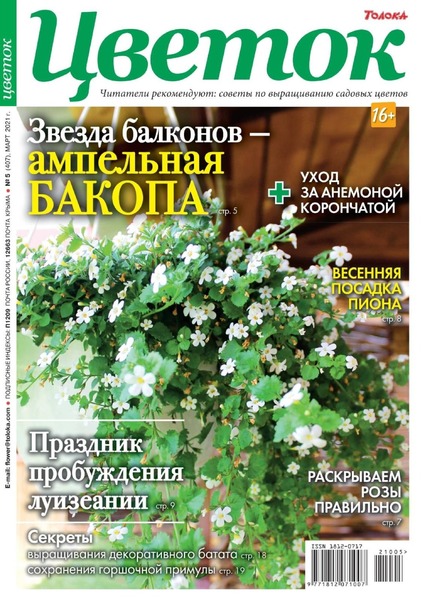 Цветок №5, март 2021
