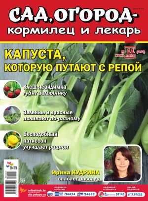 Сад, огород – кормилец и лекарь №11, июнь 2019