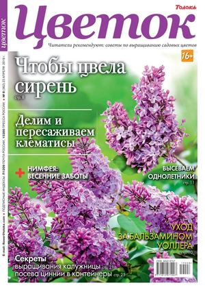 Цветок №8, апрель 2019