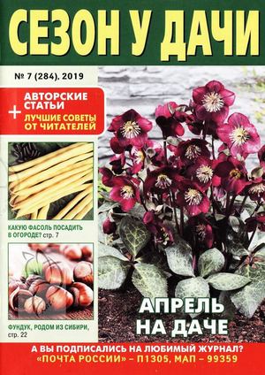 Сезон у дачи №7, апрель 2019