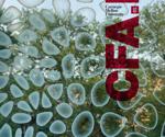 Carnegie Mellon University | CFA Magazine 2022 | Cally Jamis Vennare Articles (ONLY)