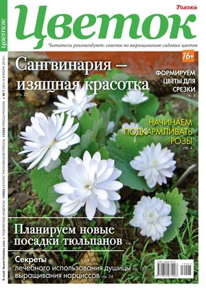 Цветок №7, апрель 2019